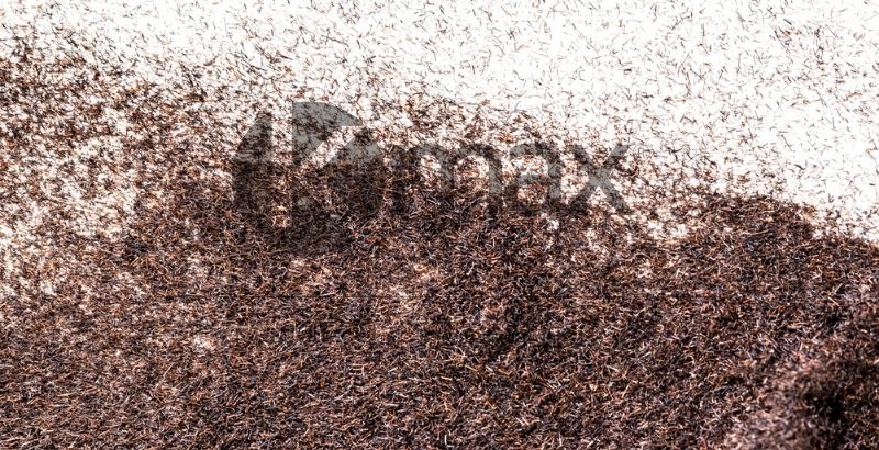 ινες κερατιονης για την αραίωση