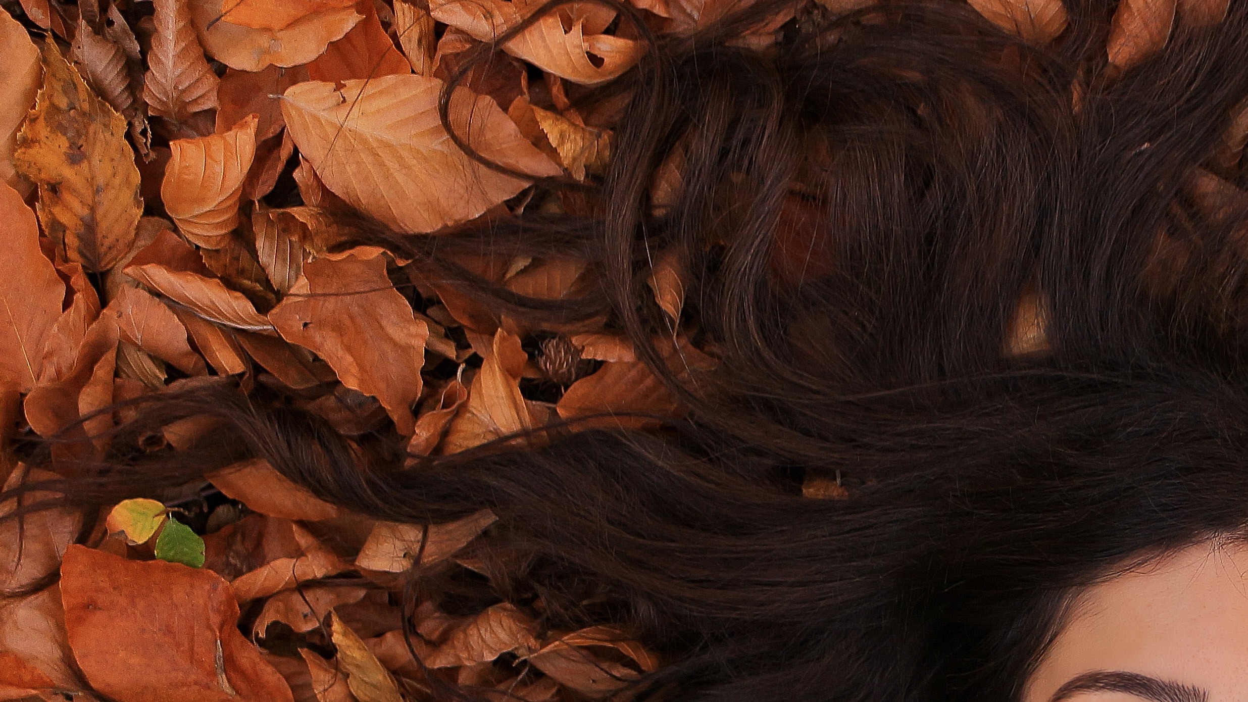 Ο έξυπνος τρόπος για να καταπολεμήσεις την αραίωση των μαλλιών το φθινόπωρο